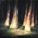 Waldlicht, 45 x 45 cm, Öl auf Baumwolle