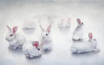 In the Rabbit Hole, 2020, 90 x 150 cm, oil on canvas